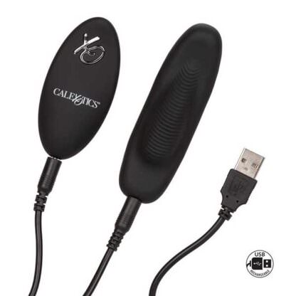 CalExotics Lock-N-Play Remote Petite Panty Teaser Vibrator Charging