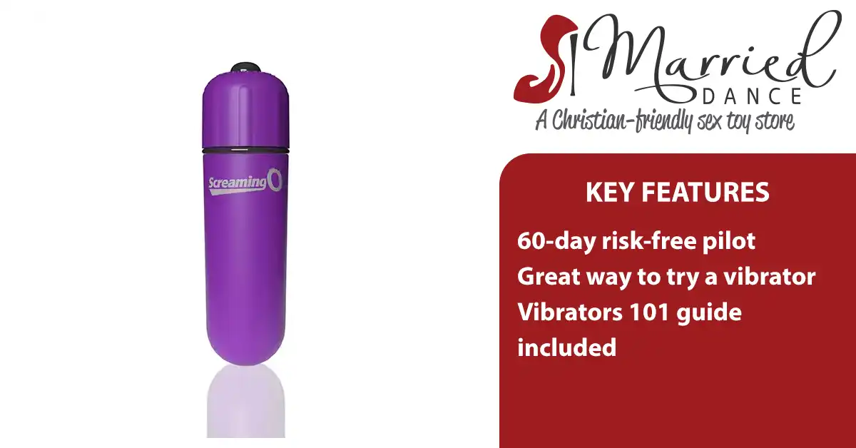 60-Day Risk-Free Bullet Vibrator Pilot Program - Christian sex toy store