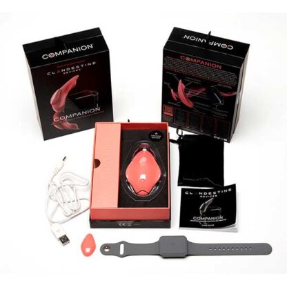 Clandestine Devices Companion Wearable Vibrator Package Contents