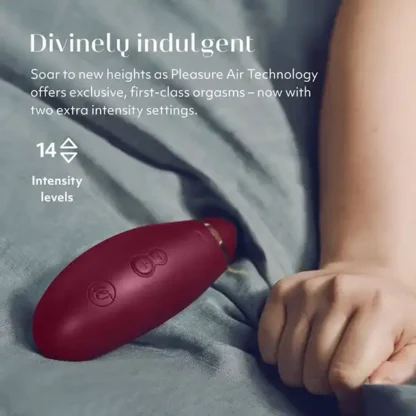 Womanizer Premium 2 Pleasure Air Clitoral Stimulator Controls