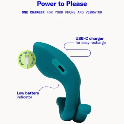 Dame Hug Vibrating Ring Charging Information