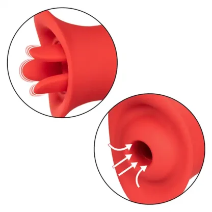 CalExotics French Kiss Suck & Play Interchangeable Set Attachments